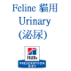 泌尿 Urinary