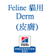 皮膚 Derm