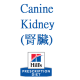 Canine Kidney (腎臟) Diet